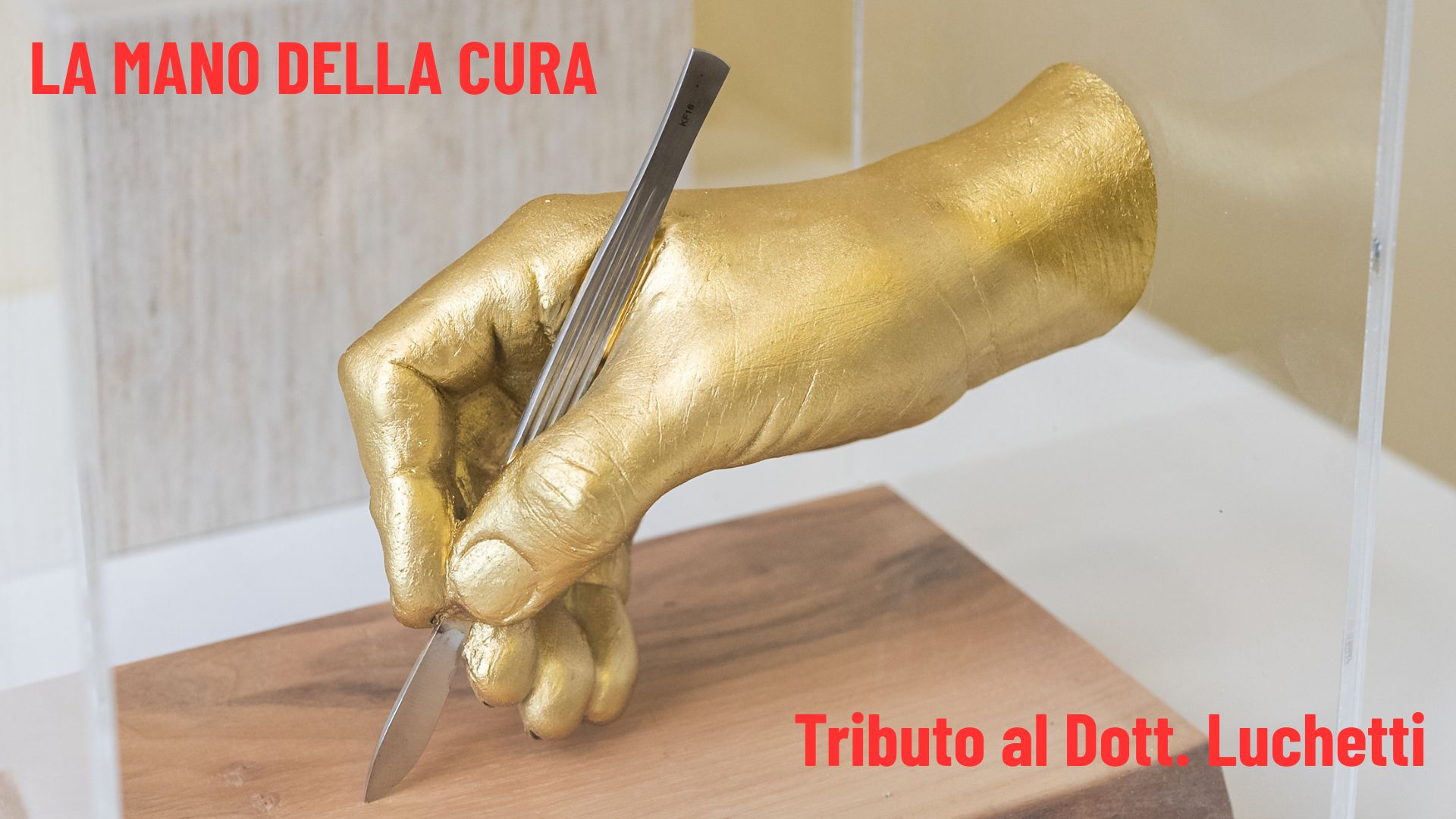 LA MANO DELLA CURA Tributo al Dott. Luchetti LA MANO DELLA CURA Tributo al Dott. Luchetti